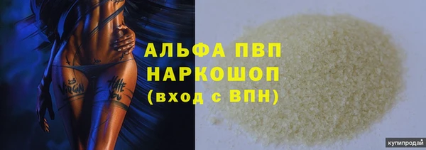 стафф Каменногорск