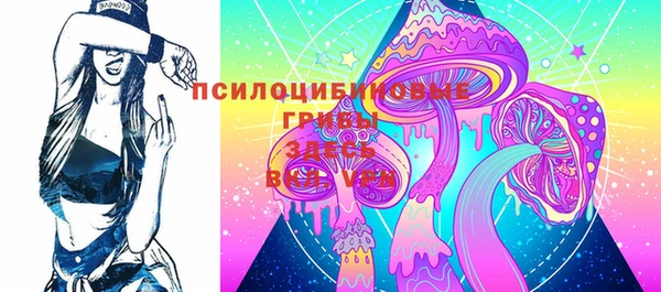 стафф Каменногорск