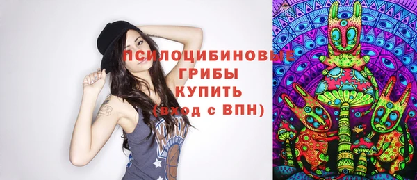 стафф Каменногорск