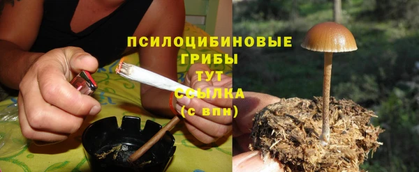 гашишное масло Каменск-Шахтинский