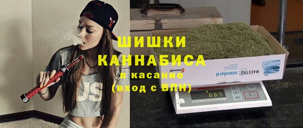 стафф Каменногорск